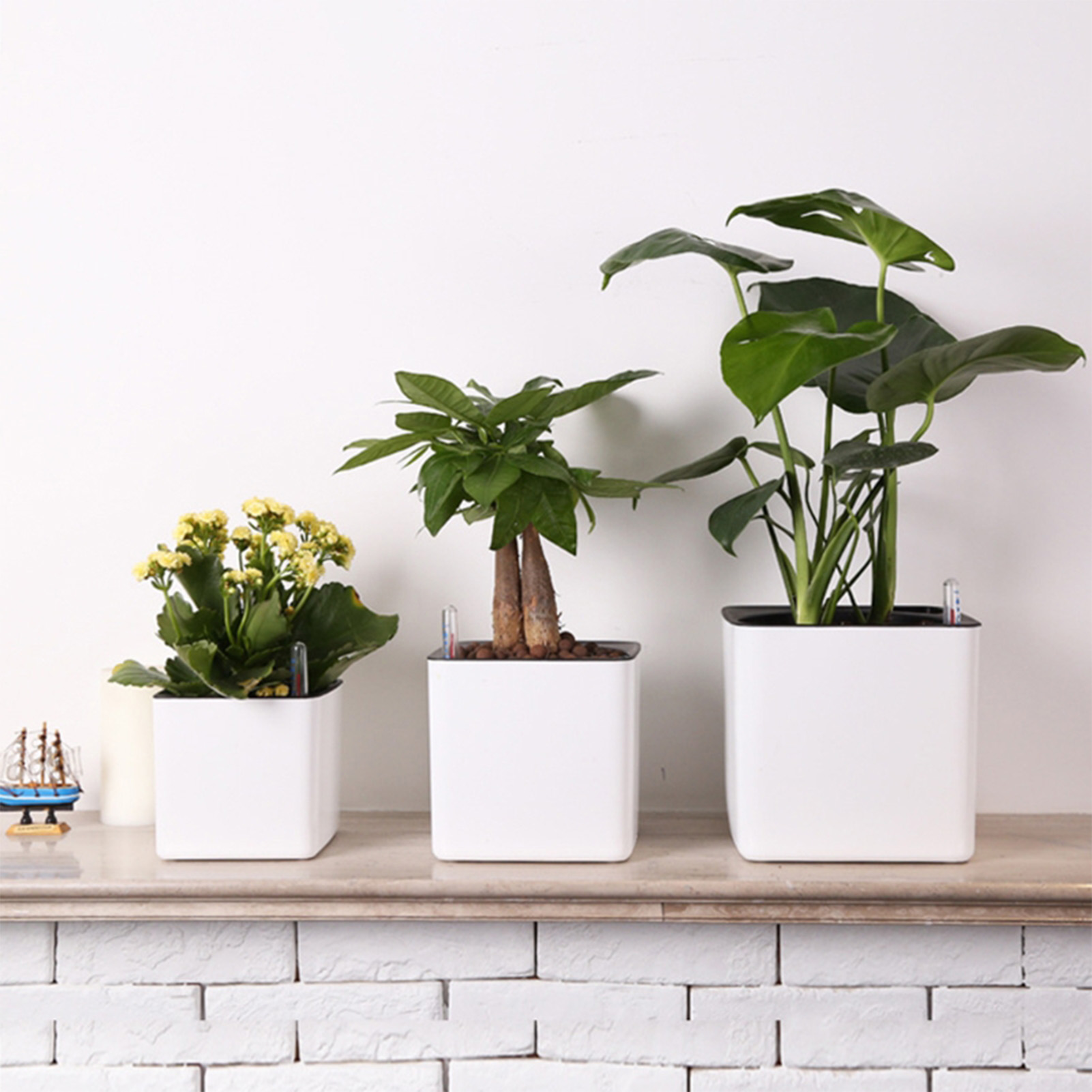 Self Watering Insert - 3-размерный ленивый цветочный горшок, зеленое растение,