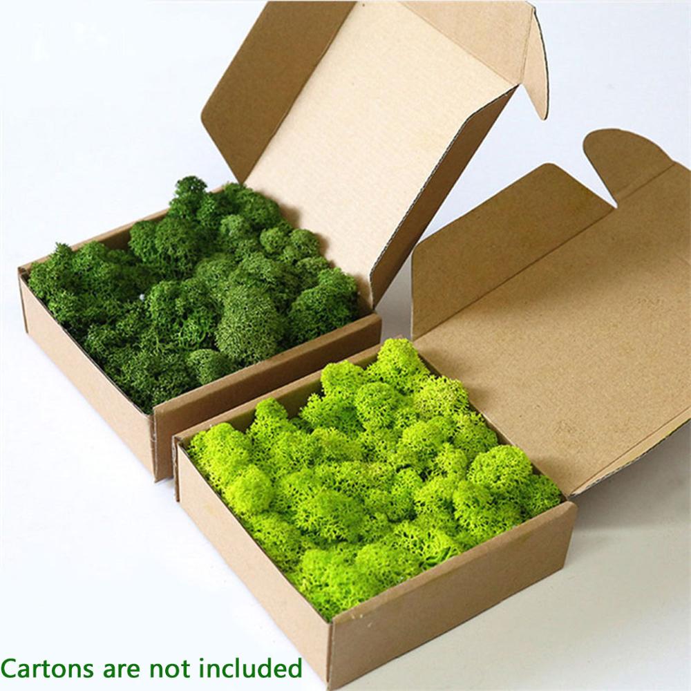 Sphagnum Moss Dry - Искусственное растение вечная жизнь мох сад
