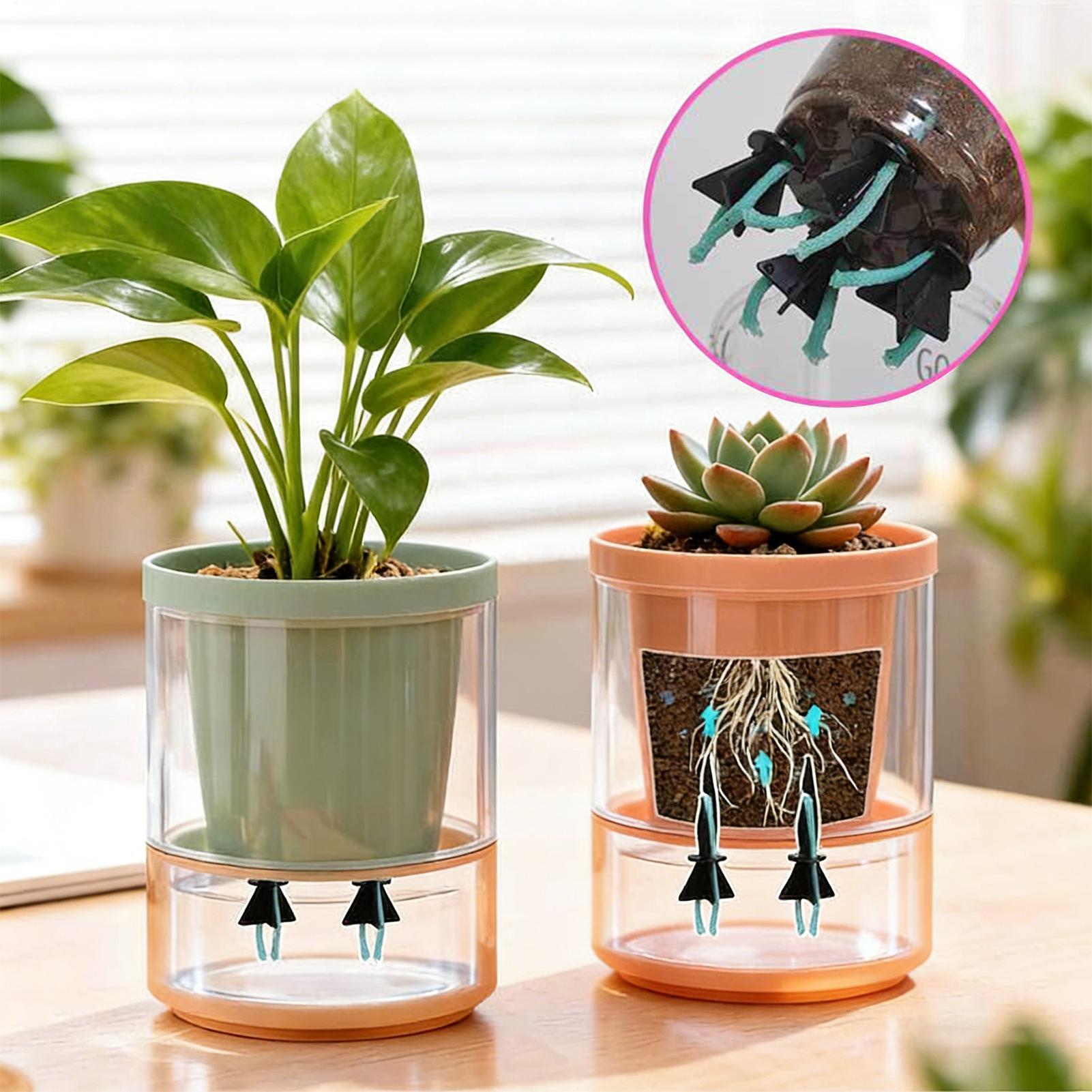 Самополивающийся вставка для ц – обзор и цена Self Watering Insert
