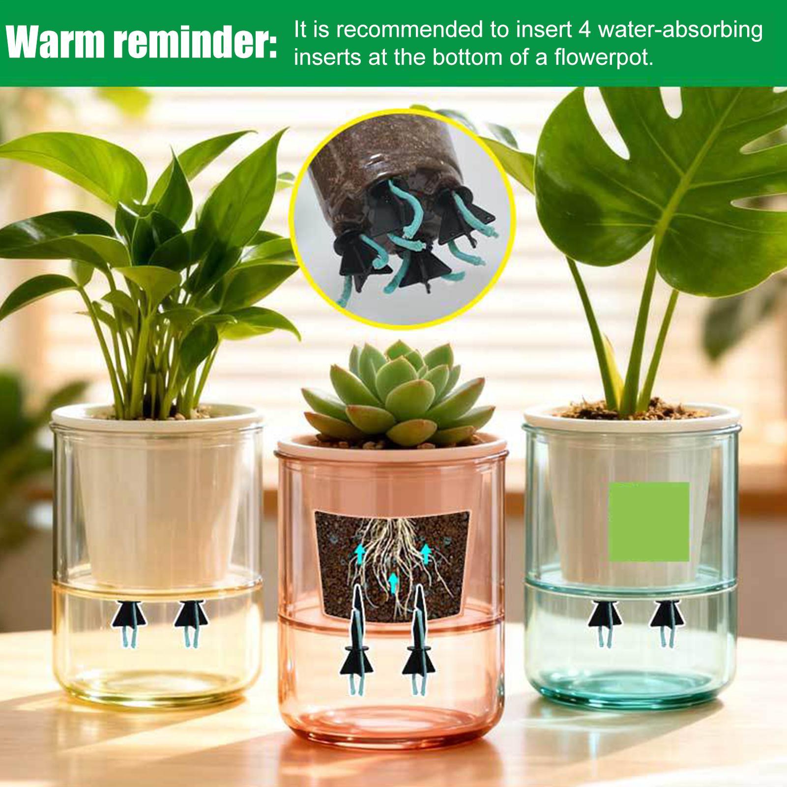 Самополивающийся вставка для ц – обзор и цена Self Watering Insert