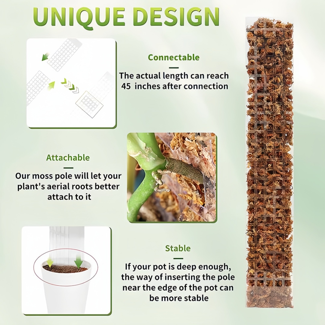 Пластиковая подставка для раст – обзор и цена Sphagnum Moss Dry