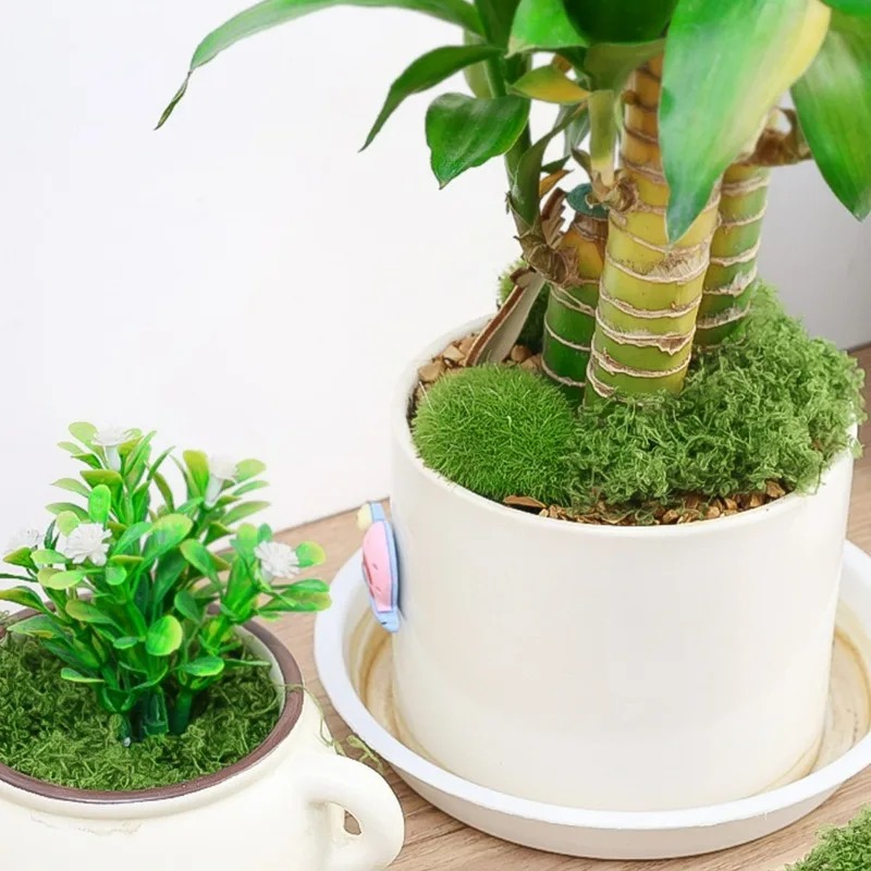 Искусственный реалистичный мох – обзор и цена Sphagnum Moss Dry