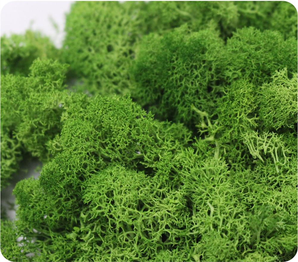Искусственное растение вечная  – обзор и цена Sphagnum Moss Dry