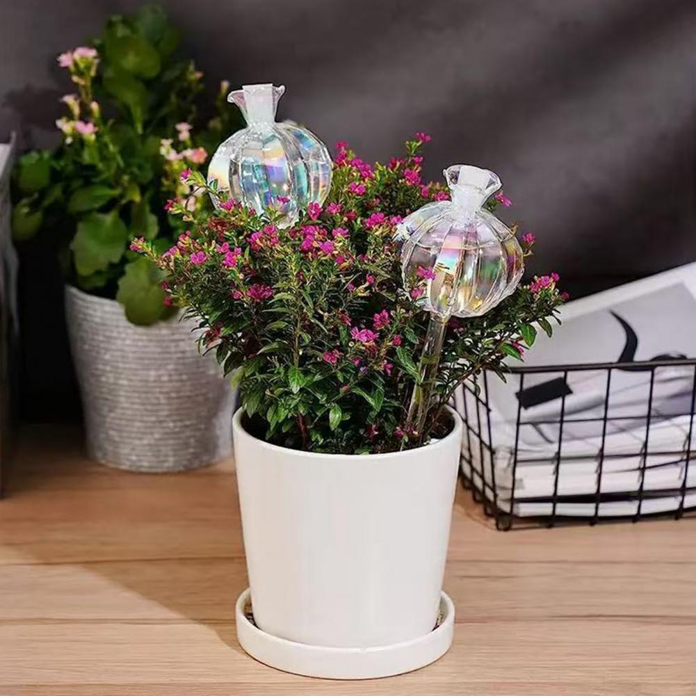 24 см самополивающиеся лампочк – обзор и цена Self Watering Insert