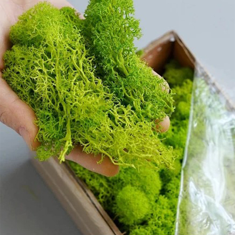 200 г искусственные зеленые ра – обзор и цена Sphagnum Moss Dry
